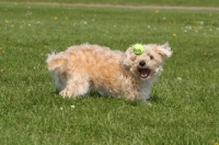 Picture of catching a ball