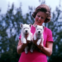 Picture of catherine owen with two west highland white puppies