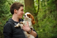 Picture of Cavalier King Charles Spaniel being carried. 