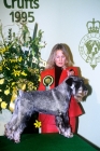 Picture of ch khinjan american express with sarah hattrell-brown after winning the utility group crufts 1995