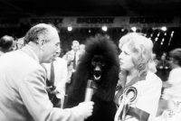 Picture of ch montravia tommy gun interviewed with marita rogers after winning crufts bis 1985