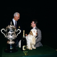 Picture of ch raycroft socialite, clumber spaniel, winning BIS crufts 1991 with judge leonard pagliero and owner ralph dunne