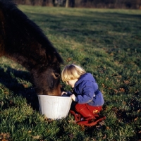 Picture of child giving feed to pony