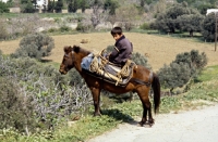 Picture of child riding riding skyros pony on skyros island, greece