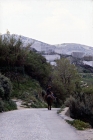 Picture of child riding skyros pony on skyros island, greece