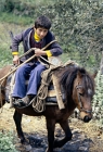 Picture of child riding skyros pony on skyros island, greece