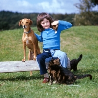 Picture of child with a kitten on her shoulder with a dog and cats