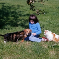 Picture of child with a lurcher and two cats