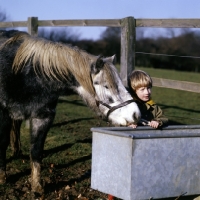Picture of child with pony at water trough in winter