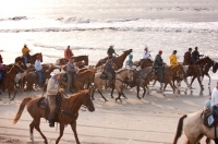 Picture of chincoteague wild pony drive