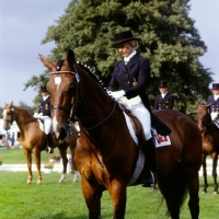 Picture of christine stuckelberger riding  granat at goodwood, european champion '75 and '77
