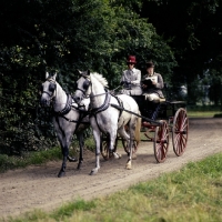 Picture of Cirencester park, carriage driving â€˜75