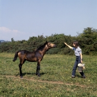 Picture of Clonkeehan Water Lily, Connemara foal with girl full body 