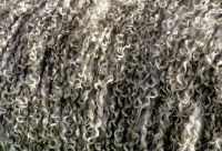 Picture of close up of fleece