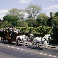 Picture of coaching marathon, windsor 1976