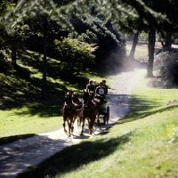 Picture of coaching marathon, windsor '79