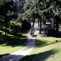 Picture of coaching marathon windsor, '79