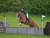 Picture of Cob jumping