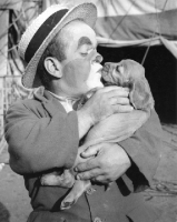 Picture of Cocker Spaniel puppy being kissed by a clown