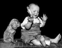 Picture of Cocker Spaniel puppy with boy who is holding a bone