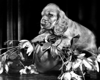 Picture of Cocker Spaniel puppy with flowers