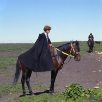 Picture of cossack riding Kabardine horse in Caucasus mountains