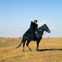 Picture of cossack riding Kabardine horse in Caucasus mountains