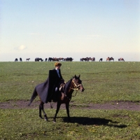 Picture of cossack riding Kabardine horse with taboon in background in Caucasus mountains