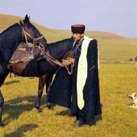 Picture of cossack with Kabardine horses in Caucasus mountains