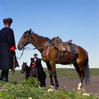 Picture of cossacks with kabardine horses in Caucasus mountains
