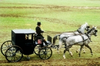 Picture of coupe vehicle at zug