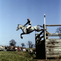 Picture of cross country at badminton three day event 1980, normandy bank
