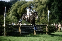 Picture of cross country at burley horse trials  