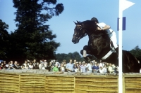 Picture of cross country at burley horse trials  