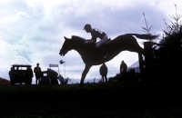 Picture of cross country at wylye horse trials