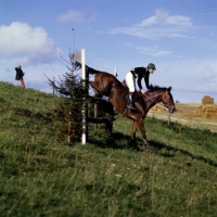 Picture of cross country, wylye horse trials 1974
