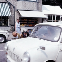 Picture of crossing the road with two dogs