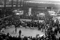 Picture of crufts 1975 at olympia, labrador ring