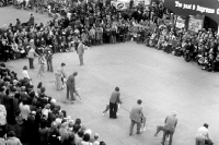 Picture of crufts 1978 olympia, the boxer ring