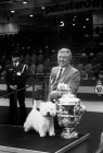 Picture of crufts 1990 ch olac moon pilot with owner derek tattersall after winning bis