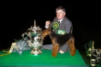 Picture of crufts 1994 bis ch purston hit and miss from brocolitia, welsh terrier with handler frank kellett