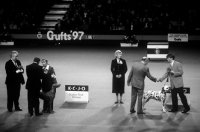 Picture of crufts 1997 kcjo stakes reserve winner