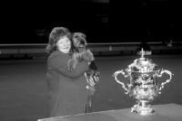 Picture of crufts 1998, welsh terrier ch saredon forever young with judy averis after winning bis 