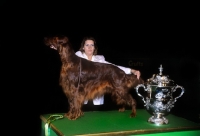 Picture of crufts 1999, sh ch caspians intrepid with owner jackie lorimer after winning bis 