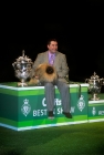 Picture of crufts bis 2003 pekingese ch yakee a dangerous liaison with albert easdon 