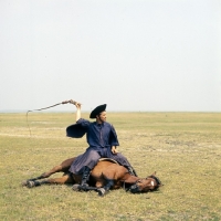 Picture of CsikÃ³ cracks whip showing off his horse's traditional tricks on the Puszta, Great Hungarian Plain