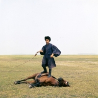 Picture of CsikÃ³ stands on his Hungarian Horse Puszta,cracking whip demonstrating a traditional trick   
