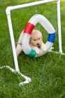 Picture of cute puppy trying to climb through a ring