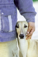 Picture of Cyprus Greyhound with owner