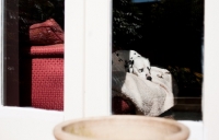 Picture of Dalmatian sleeping on a sofa, through a window view.